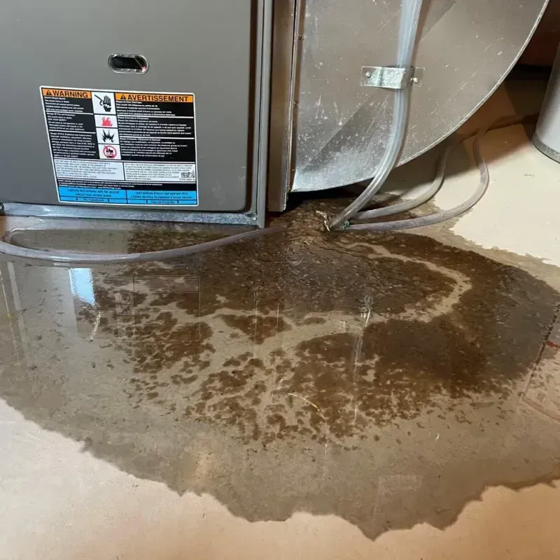 Appliance Leak Cleanup in Navasota, TX